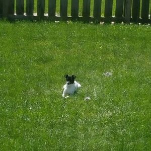 Meet your Posher, Celeste